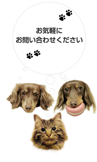 お気軽にお問い合わせください