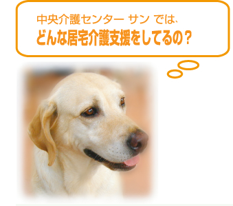 中央介護センター サン では、どんな居宅介護支援をしてるの？