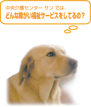 中央介護センター サンでは、実費サービスを行ってます！